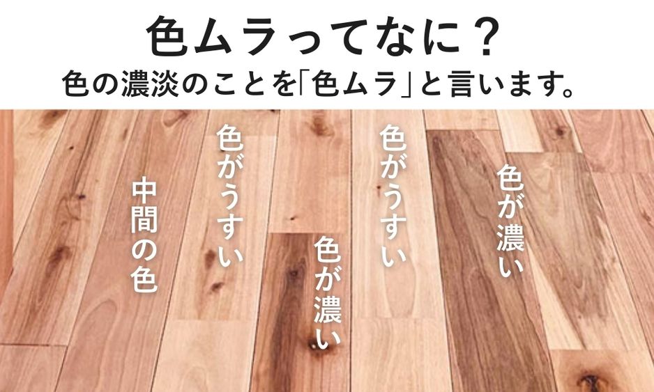 西南サクラ色ムラ画像